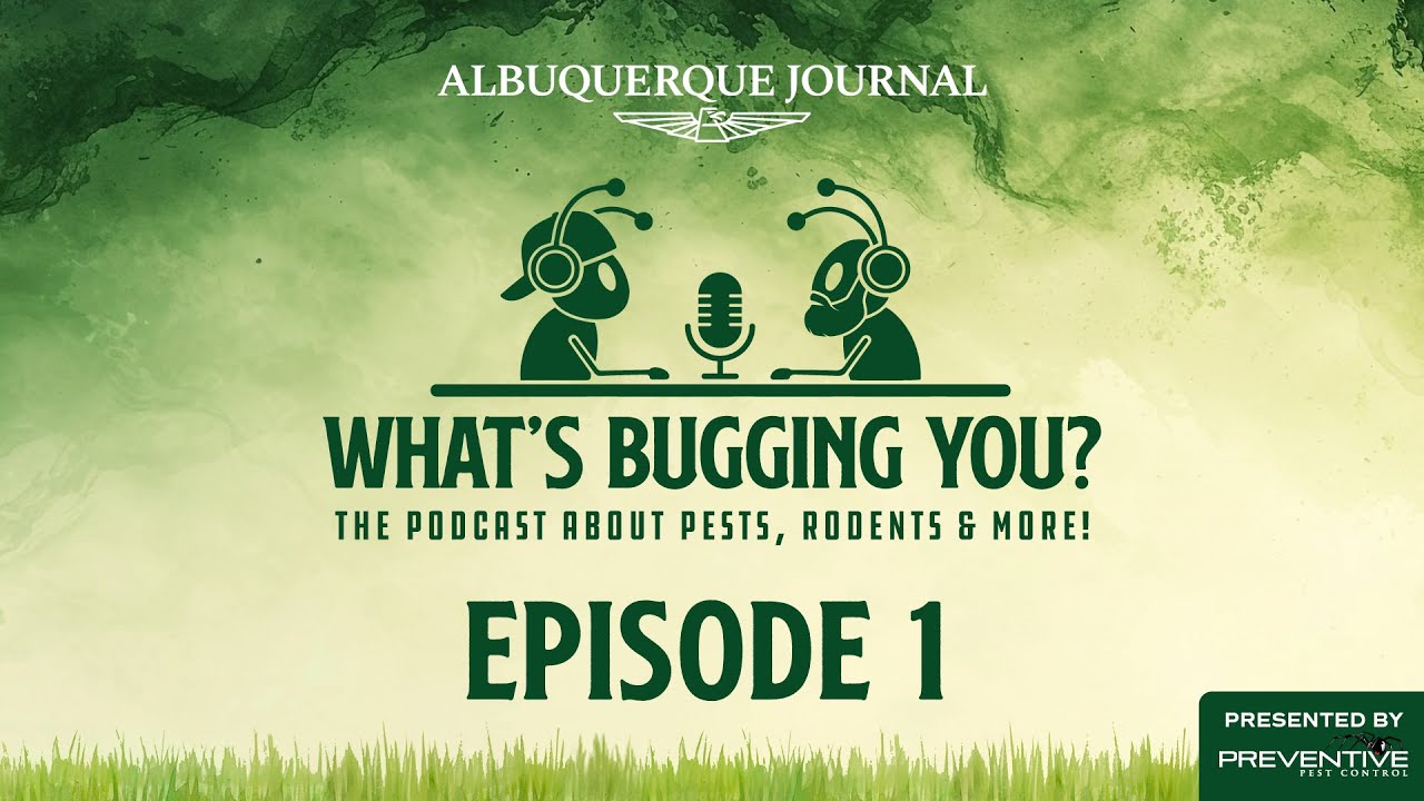 Featured image for “What’s Bugging You? Ep. 1 w/Mike Swanson”